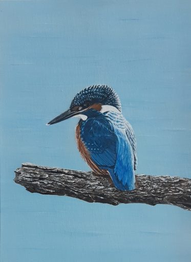 Kingfisher, zimorodek